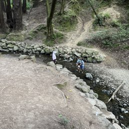 Creek at the park!