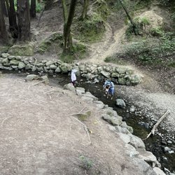Old Mill Park - Creek at the park!