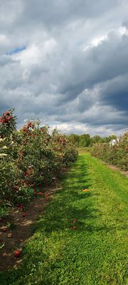 DuBois Farms by null