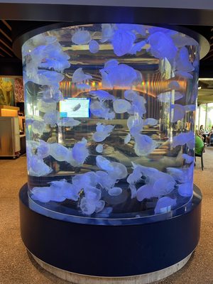 Oregon Coast Aquarium by null