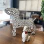 Photo of Dig It Dog Grooming