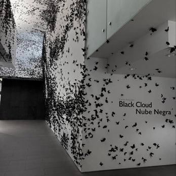 Phoenix Art Museum - Art Museums Near Me - Phoenix, Arizona