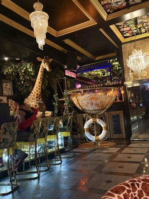 Champagne Problems by null