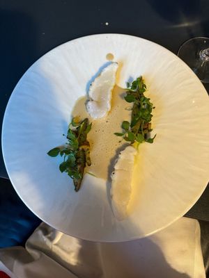 The Pescatarian by null