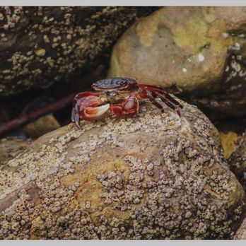 Surfers Knoll Beach - Little Crab - Beaches Near Me - Ventura, California Surfers Knoll Beach - Little Crab - Beaches Near Me - Ventura, California