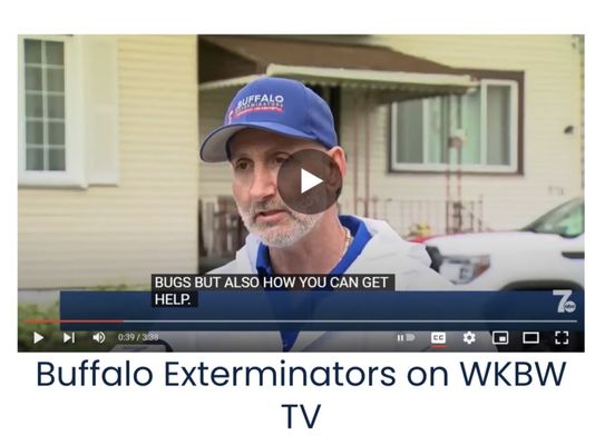 Buffalo Exterminators