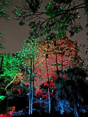 ZooTampa at Lowry Park by null