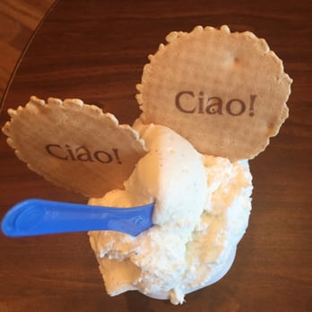 Gelato Dolceria - Sulking my sorrows in Madagascar vanilla & coconut gelato... - Desserts Near Me - Haddonfield, New Jersey