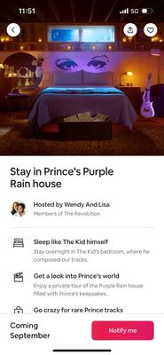 Purple Rain House by null