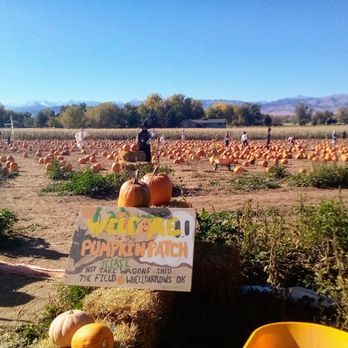 Munson's Farm Stand - October 2023 - Fruits & Veggies Near Me - Boulder, Colorado Munson's Farm Stand - October 2023 - Fruits & Veggies Near Me - Boulder, Colorado