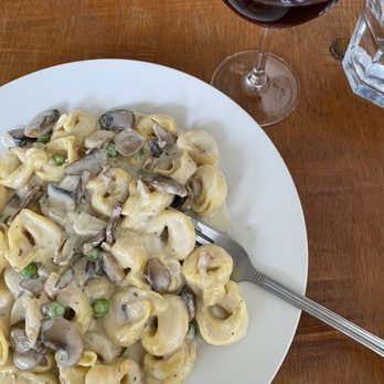 Piccola Italia Bistro - Tortellini - Italian Near Me - Tampa, Florida