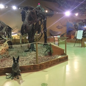Wyoming Dinosaur Center - Grr! - Museums Near Me - Thermopolis, Wyoming Wyoming Dinosaur Center - Grr! - Museums Near Me - Thermopolis, Wyoming