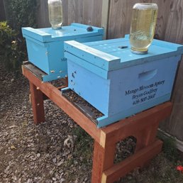 New hives by mango blossom apiary New hives by mango blossom apiary