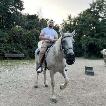 Memory Lane Stables - Horseback Riding Near Me - Willow Springs, Illinois