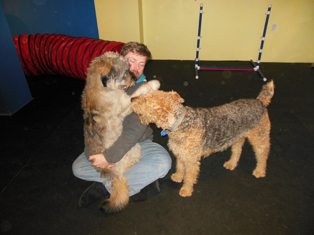 The Towne Barker - pet boarding facility in Philadelphia, PA