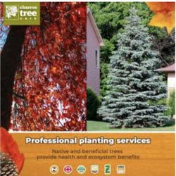 Charros Tree Service