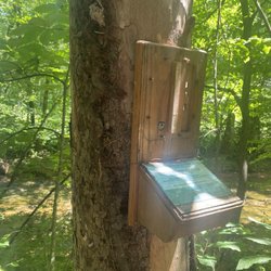 Dean Watts Park - Wind phone -- post-vandalism (stolen phone) -- July 2024