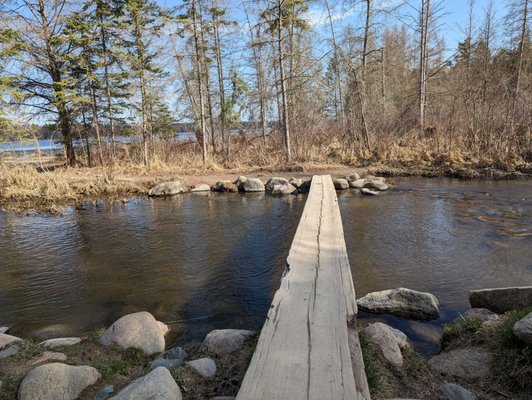 Itasca State Park by null