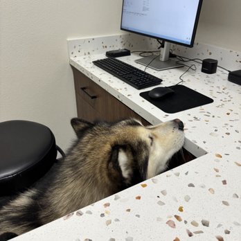 Pet Care - Inside - Veterinarians Near Me - Henderson, Nevada