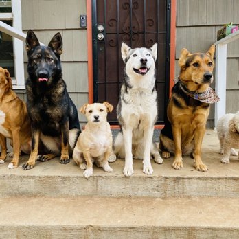 Wags & Ruffs - Pet Boarding Near Me - San Diego, California Wags & Ruffs - Pet Boarding Near Me - San Diego, California