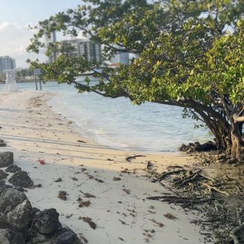 JOIA BEACH - Updated June 2024 - 888 Photos & 378 Reviews - 1111 Parrot