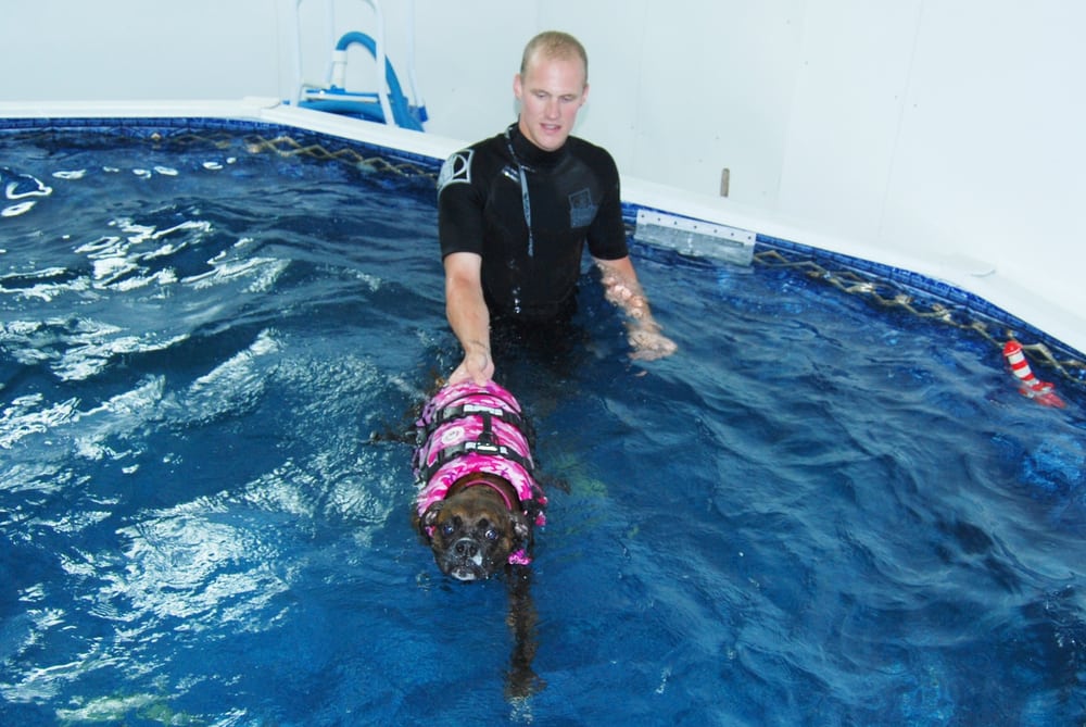 EAGLE LAKE BOARDING KENNEL Updated August 2024 Strathmore, Alberta