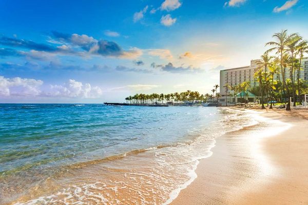 Caribe Hilton by null