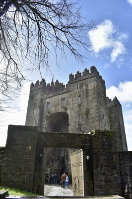Railtours Ireland First Class! by null