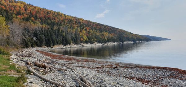 Forillon National Park by null
