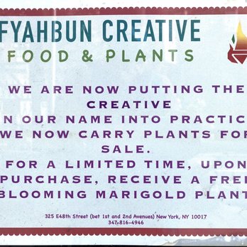 Fyahbun Creative - Also, plants for sale for a limited time! - Caribbean Near Me - New York, New York Fyahbun Creative - Also, plants for sale for a limited time! - Caribbean Near Me - New York, New York