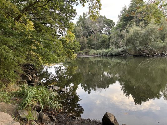 East Rock Park by null