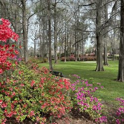 Edisto Memorial Gardens - Bench and lawn at Edisto Gardens