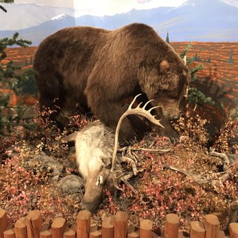 Majestic View Lodge - Small exhibit of animals in the hotel lobby. This is free. - Hotels Near Me - Springdale, Utah Majestic View Lodge - Small exhibit of animals in the hotel lobby. This is free. - Hotels Near Me - Springdale, Utah