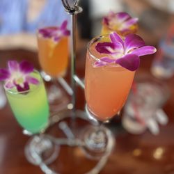 Roosters On The River - Mimosa flight