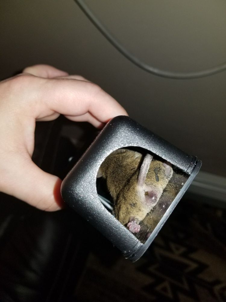 BIGELOW RENTALS 13 Photos & 23 Reviews 1216 N Buchanan St, Green