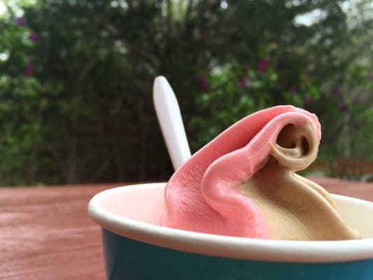 Cedar Hill Dairy Joy by null