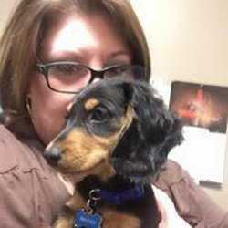 Tracy Rutledge - Allstate Insurance