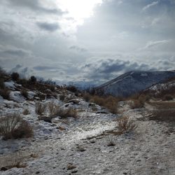 Alien Tower Trail
