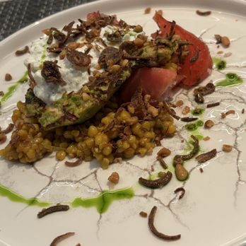 TRP Taste - New American Near Me - Fort Lauderdale, Florida TRP Taste - New American Near Me - Fort Lauderdale, Florida