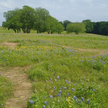 Ennis Bluebonnet Trails - Festivals Near Me - Ennis, Texas Ennis Bluebonnet Trails - Festivals Near Me - Ennis, Texas