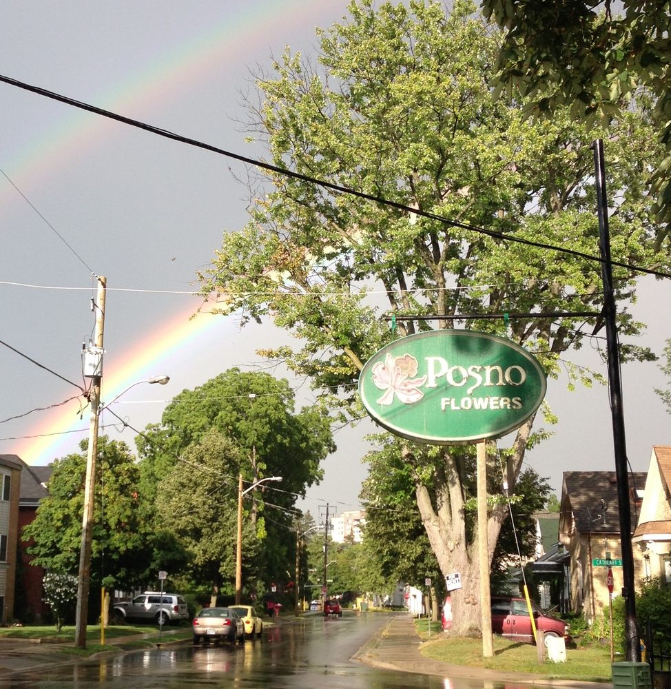 POSNO FLOWERS Updated August 2024 10 Photos 1 Cathcart St, London