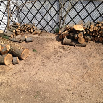 Treeminator Tree Service - job complete! no more trees! - Tree Services Near Me Treeminator Tree Service - job complete! no more trees! - Tree Services Near Me