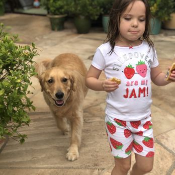 Breyers' Canine Academy - She's the best dog thanks to Breyers. - Pet Training Near Me