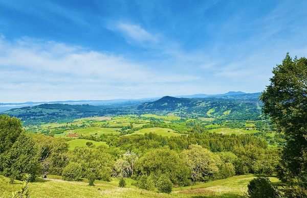 North Sonoma Mountain Regional Park by null
