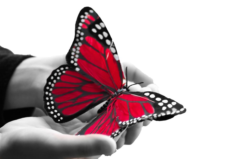 Bonaventure Academy - childcare center in Bethlehem, PA