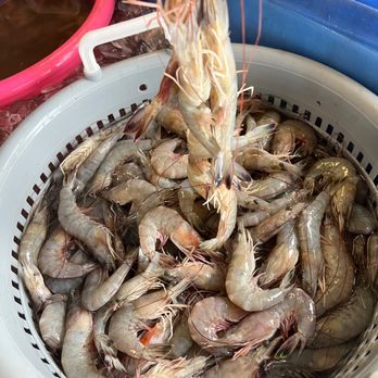 David Chauvin's Seafood - Fishing Near Me - Dulac, Louisiana