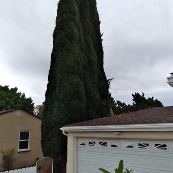 El Encino Firewood - Before - Firewood Near Me El Encino Firewood - Before - Firewood Near Me