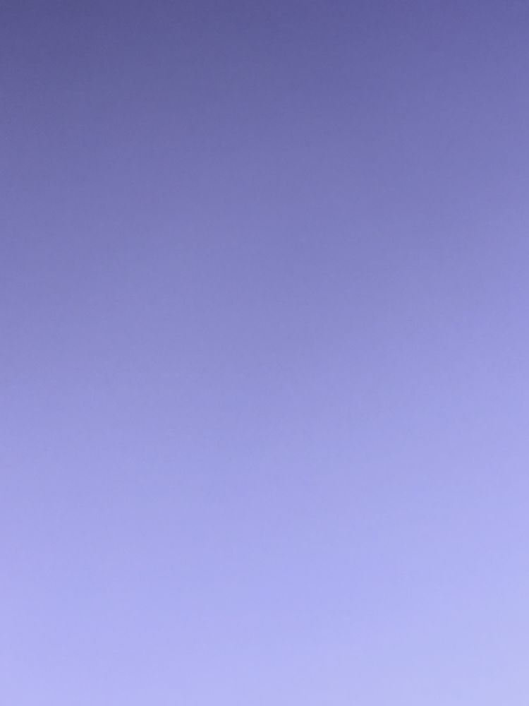 Slide of Clog Wizard Nepa