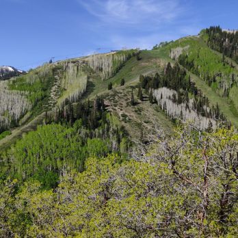 Wasatch Adventure Guides - Tours Near Me - Park City, Utah Wasatch Adventure Guides - Tours Near Me - Park City, Utah