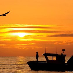 Mako's Water Taxi - evening eagle watching